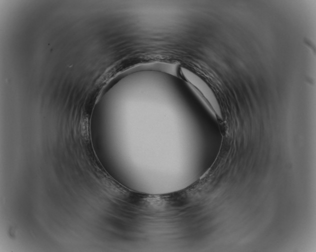 X0000091230425200708301520