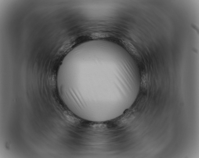 X0000091230426200708301520