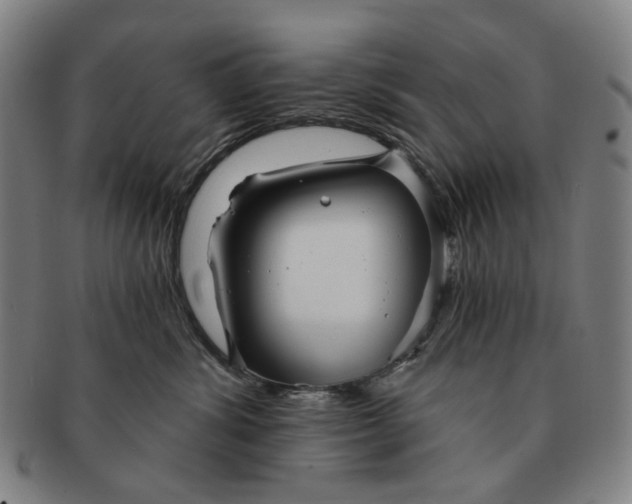X0000091230428200708301520