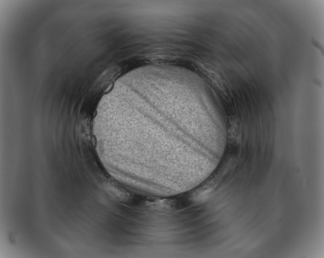 X0000091230430200708301520