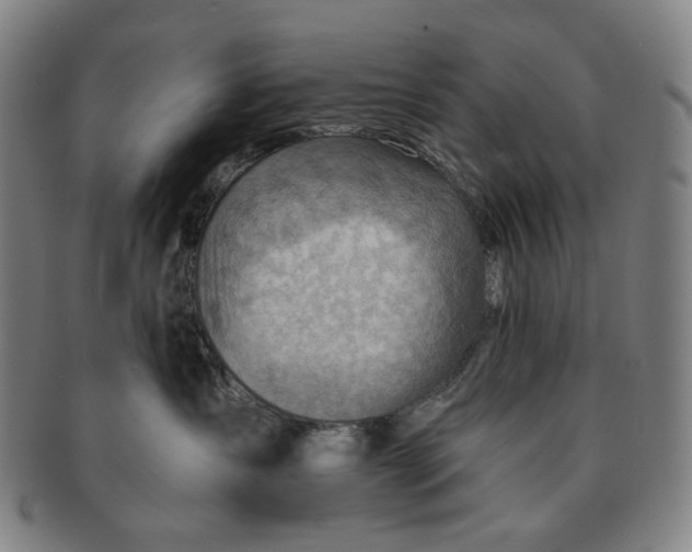 X0000091230431200708301520
