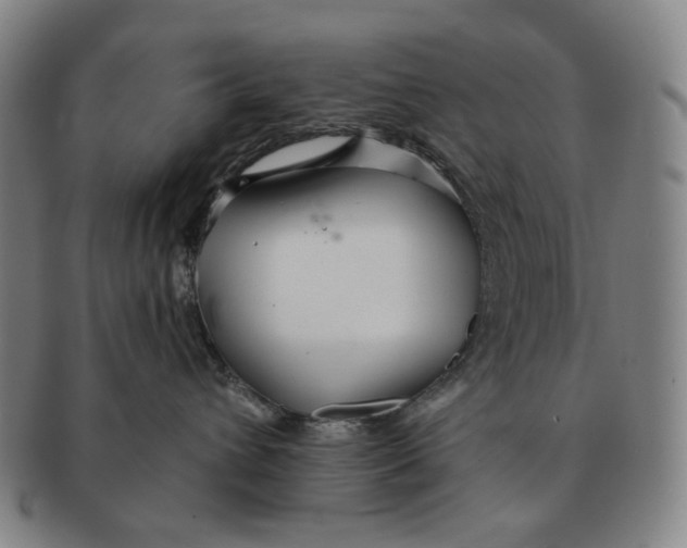 X0000091230432200708301520