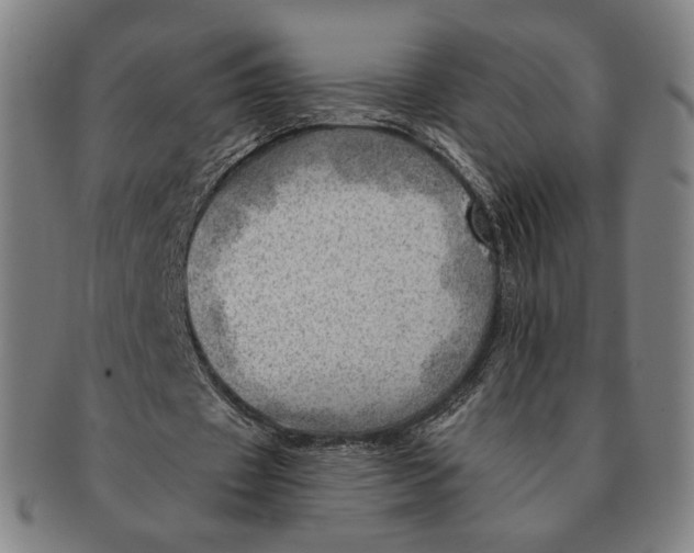 X0000091230433200708301519