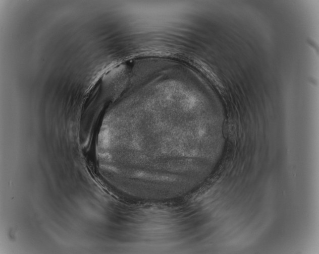 X0000091230434200708301519