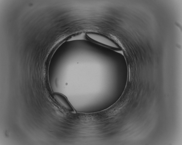 X0000091230435200708301519