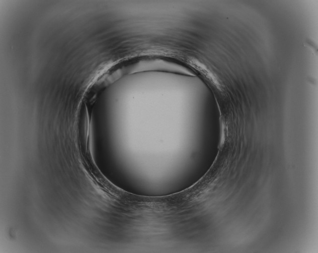 X0000091230436200708301519