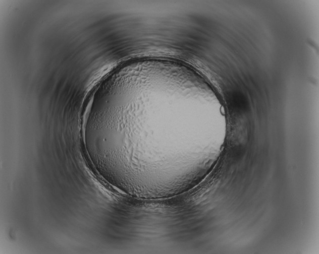 X0000091230437200708301519