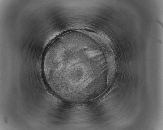 X0000091230438200708301519