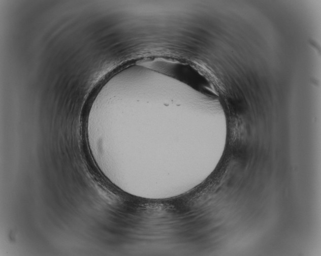X0000091230439200708301519