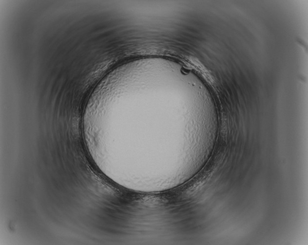 X0000091230441200708301519