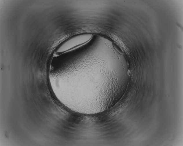 X0000091230442200708301519