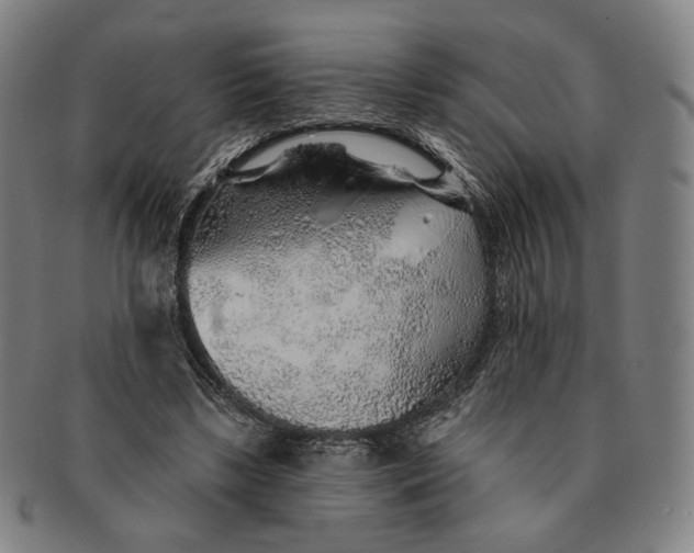 X0000091230443200708301519