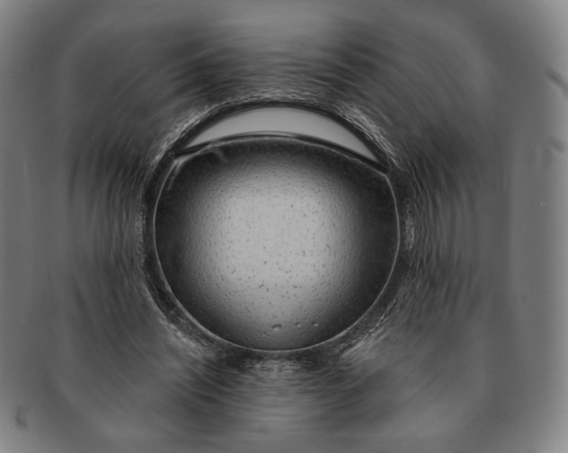 X0000091230444200708301519