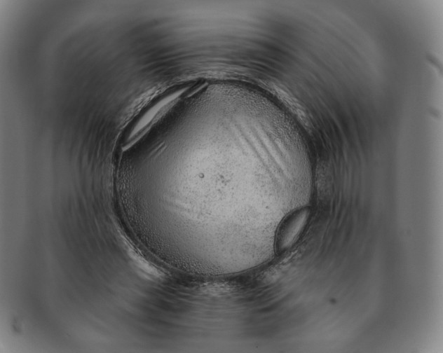 X0000091230445200708301519