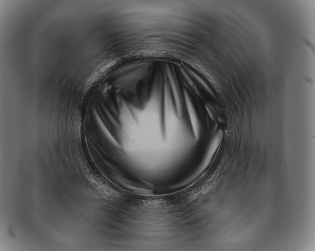 X0000091230446200708301519