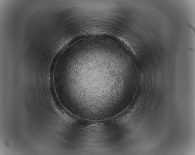 X0000091230447200708301519