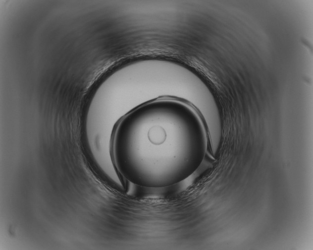 X0000091230448200708301520