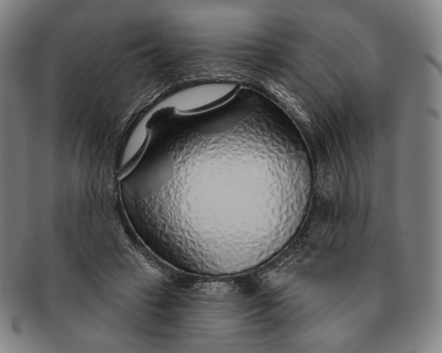 X0000091230449200708301520