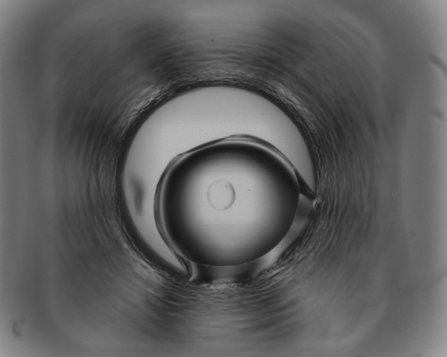 X0000091230452200708301520