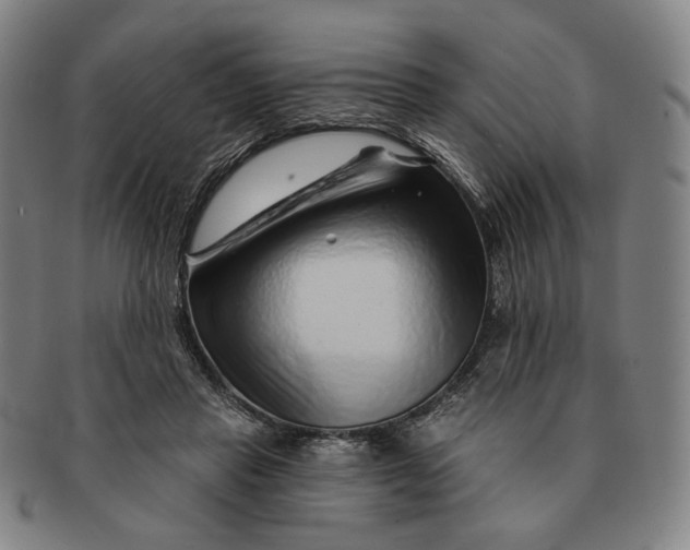 X0000091230453200708301520