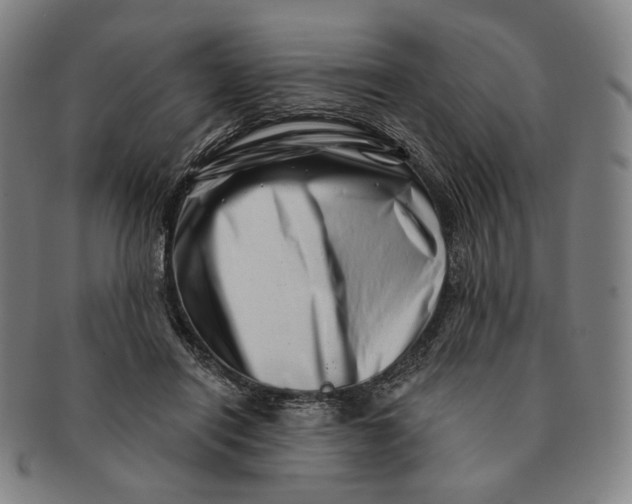 X0000091230454200708301520