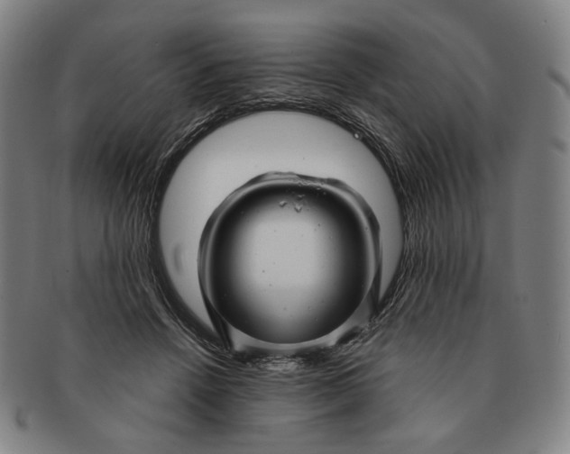 X0000091230456200708301520