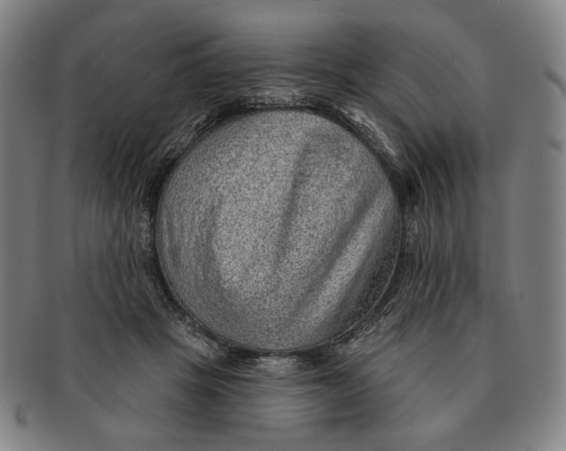 X0000091230457200708301520
