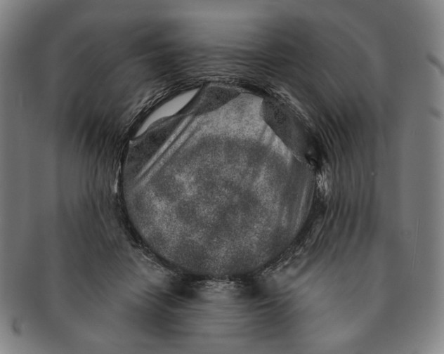 X0000091230458200708301520
