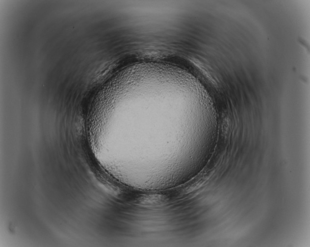X0000091230459200708301520