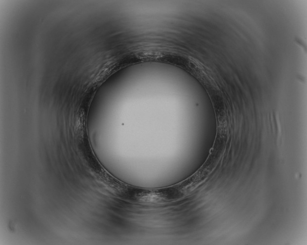 X0000091230460200708301520