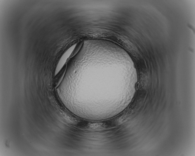 X0000091230461200708301520
