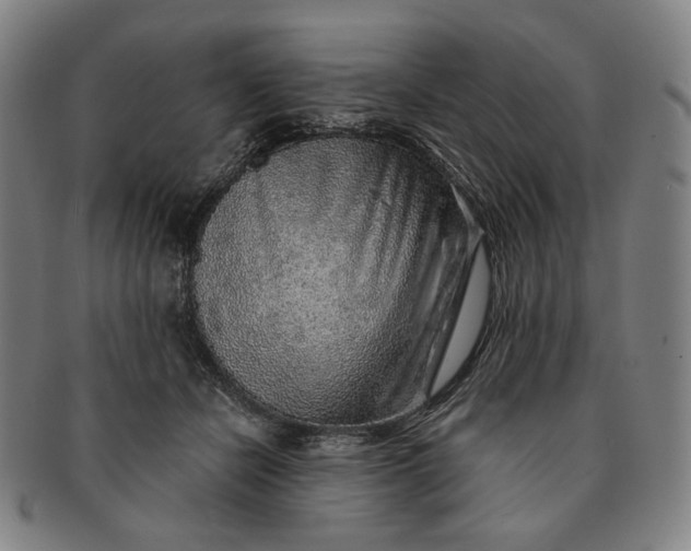 X0000091230462200708301520