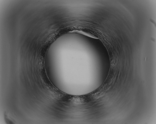 X0000091230464200708301520