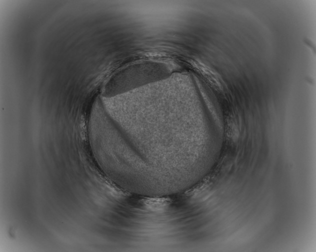 X0000091230465200708301520