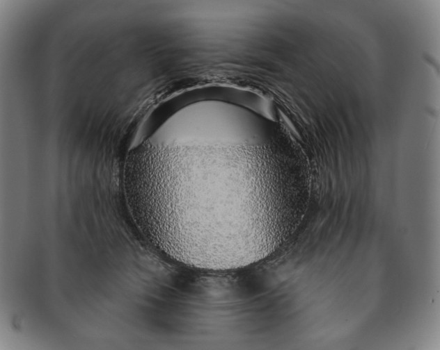 X0000091230466200708301520