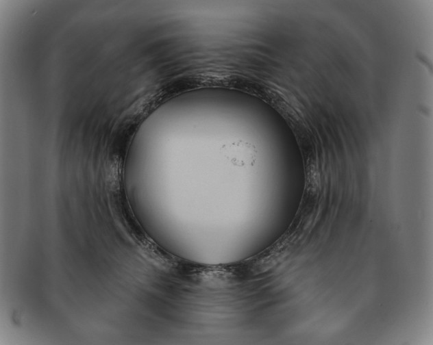 X0000091230468200708301520