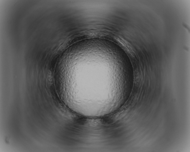 X0000091230469200708301520
