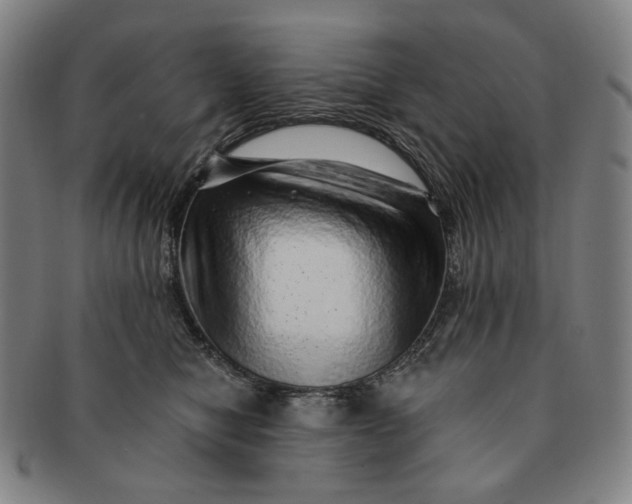 X0000091230470200708301520