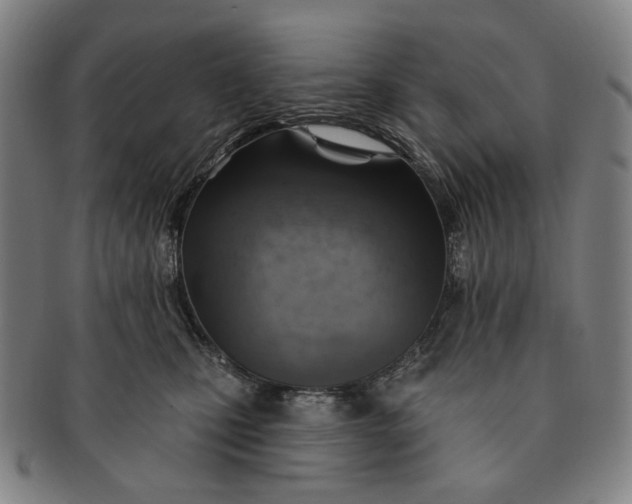 X0000091230471200708301520