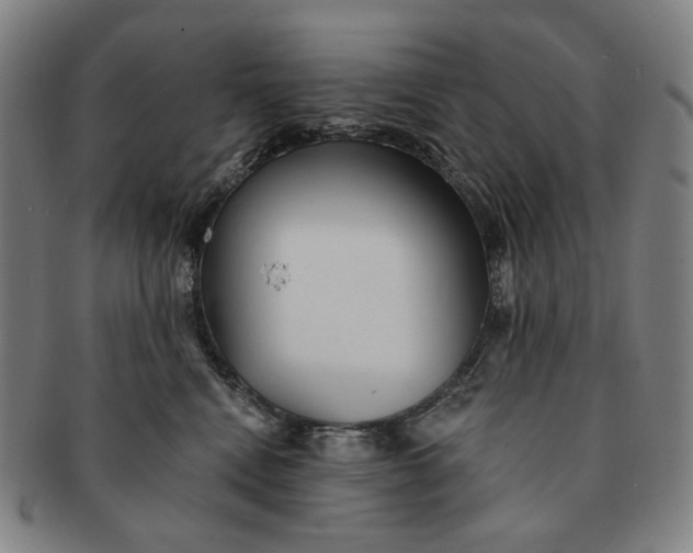 X0000091230472200708301520