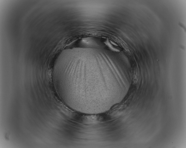 X0000091230473200708301520