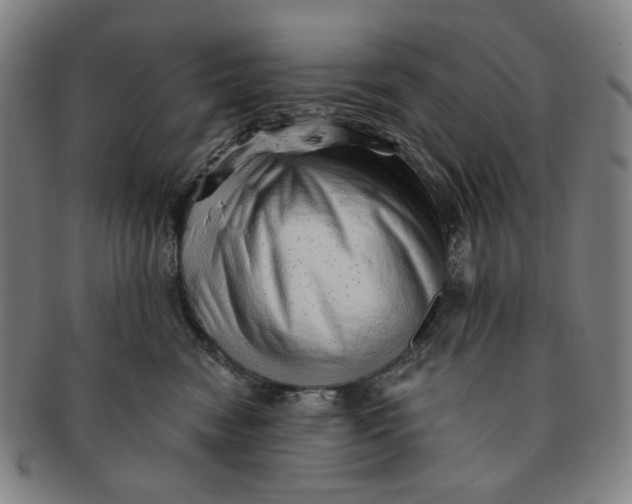 X0000091230474200708301520