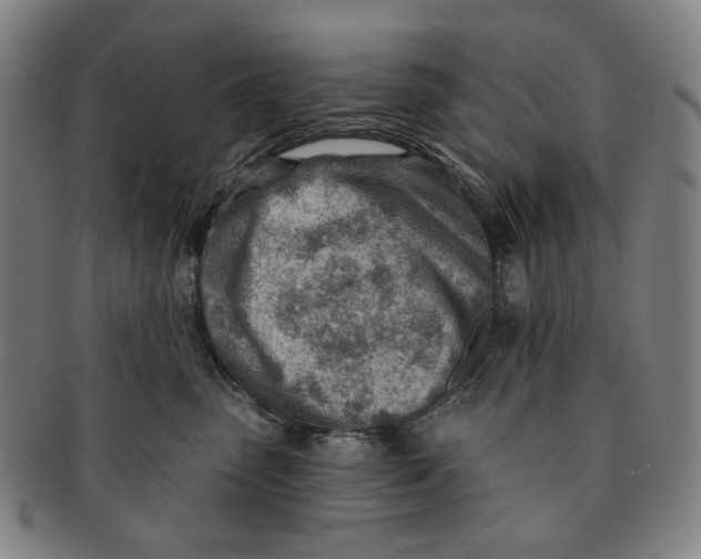 X0000091230475200708301520
