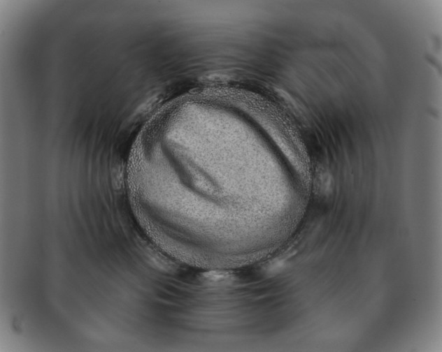 X0000091230477200708301520