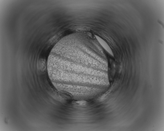 X0000091230478200708301520