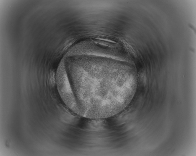 X0000091230479200708301520