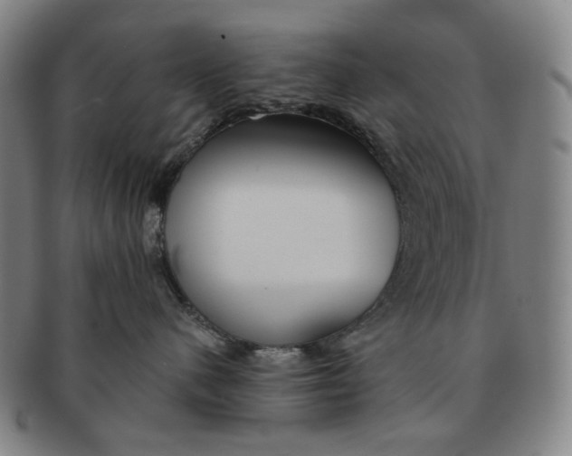 X0000091230480200708301520
