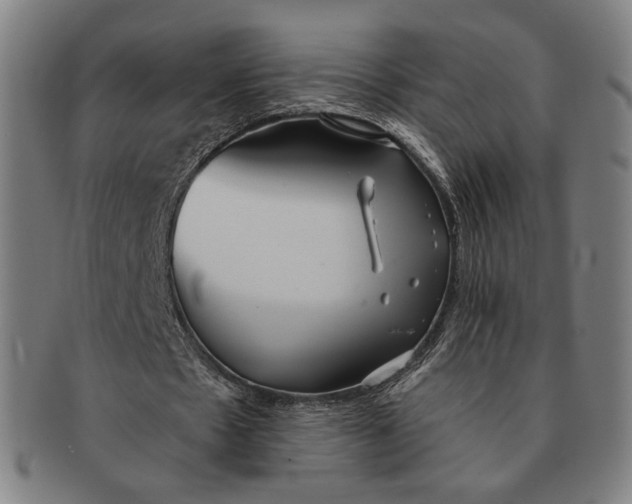 X0000091230481200708301519