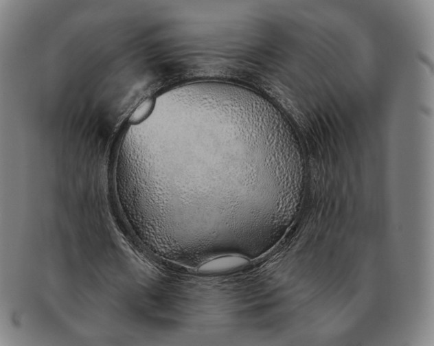 X0000091230482200708301519