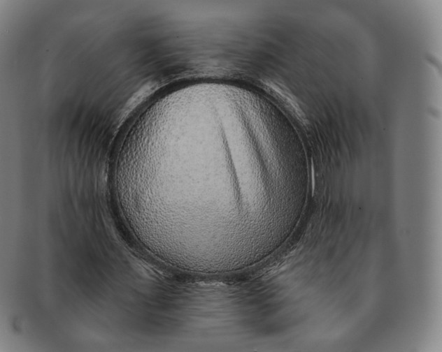 X0000091230483200708301519